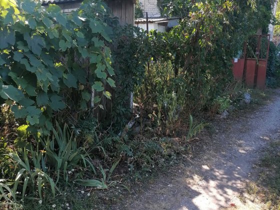 Продажа дачного участка!