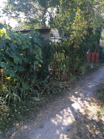 Продажа дачного участка! - фото 1