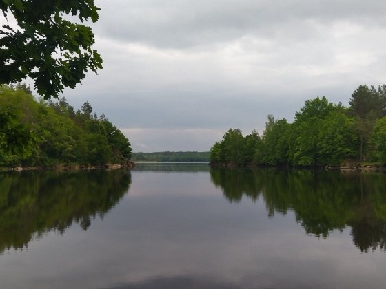 Тетерівський масив дача Житомир