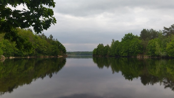 Тетерівський масив дача - фото 1