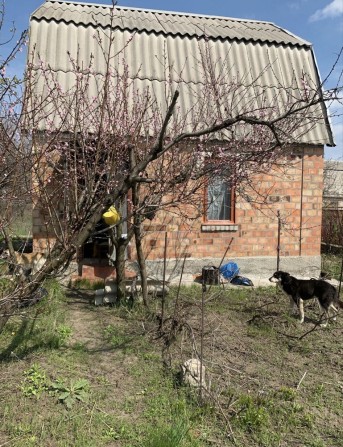 Продажа дача , участок  10 соток . - фото 1