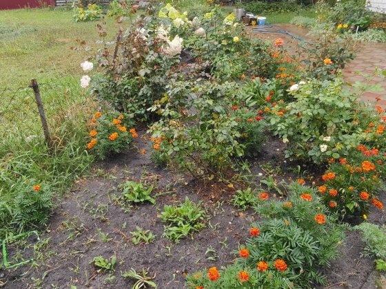 Продаж будинку у близкому пригороді! Житомир