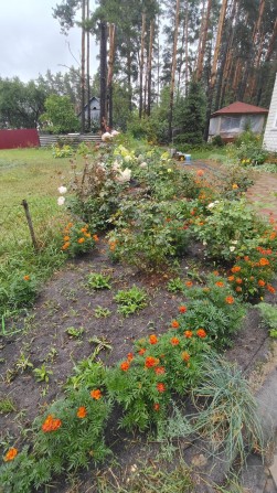 Продаж будинку у близкому пригороді! - фото 1