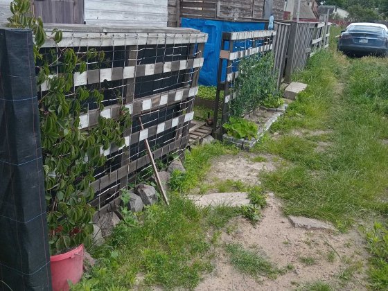 будинок у Києві  окремо розташований з територією Київ