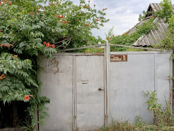 Продам будинок Ст. Балашівка Кропивницкий