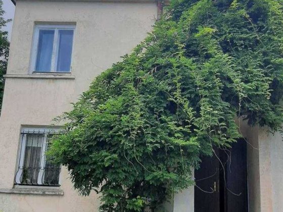 Продаж окремостоячого будинку по вул. Мишуги (парк Залізна Вода) Львов