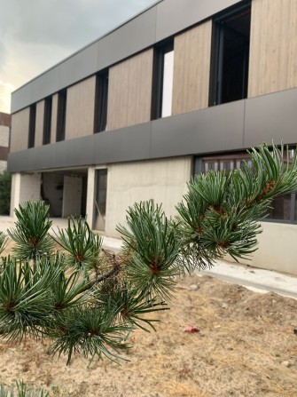 Краще коштує дорого - фото 1