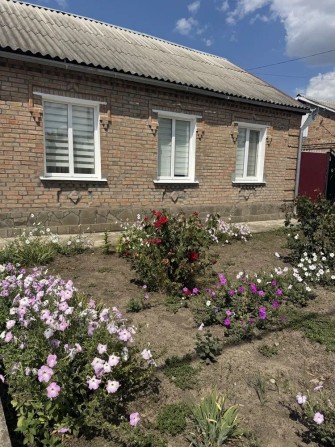 Продам будинок на Новоолексіївці - фото 1