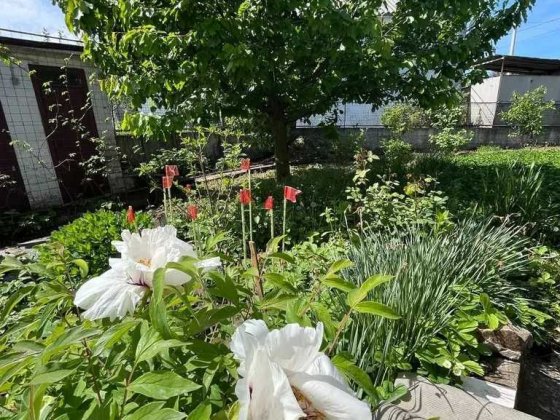 Продам просторный дом в Диевке Дніпро