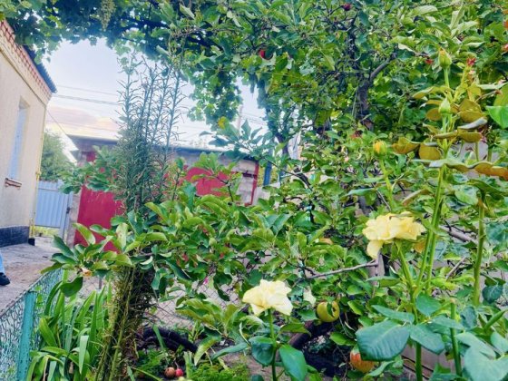 Пів будинку з окремим двором! Біляєва, Файномаркет! По ціні трьошки! Кропивницкий