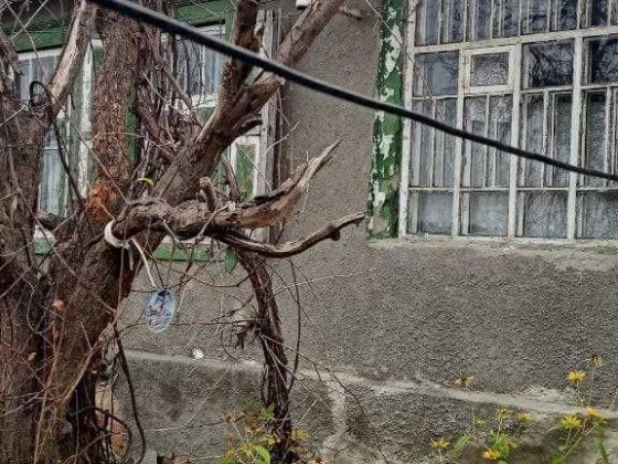 E S4 Продам дом с большим участком на Баварии Харків