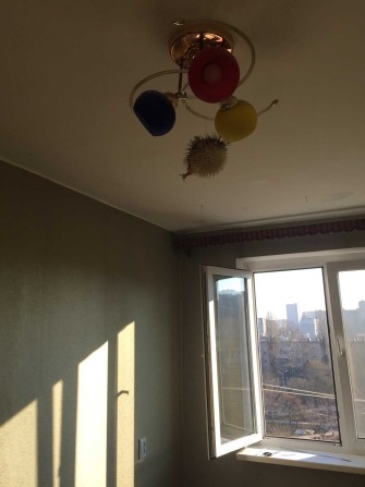 (3-1) Продам комнату в квартире с одним соседом ! - фото 1