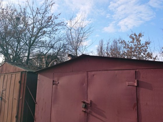 Аренда гаража. Утеплен каучуком. Долгосрочная. Бердичів