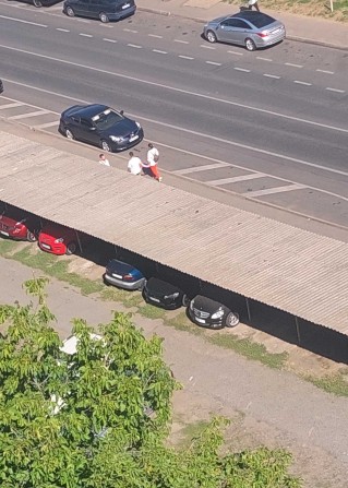 Место на охраняемой стоянке. - фото 1