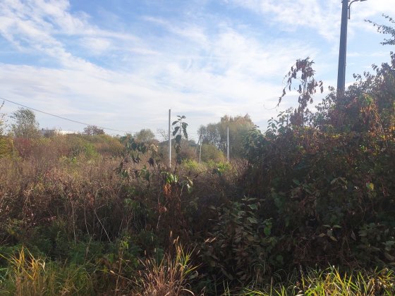 Гаражо місце АГК Сокільники Сокільники