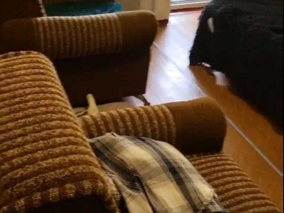 Сдам 1-о комнатную в центре Кам'янське