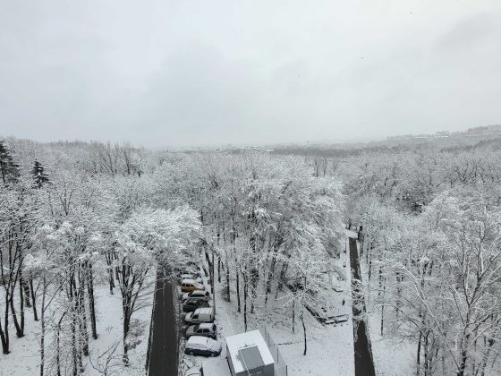 квартира Тернопіль 1к Чумацька 2 Тернопіль