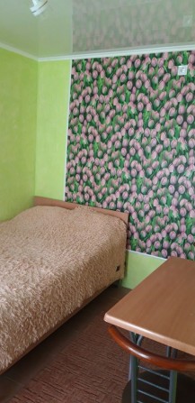Однокомнатная квартира. Хозяйка - фото 1