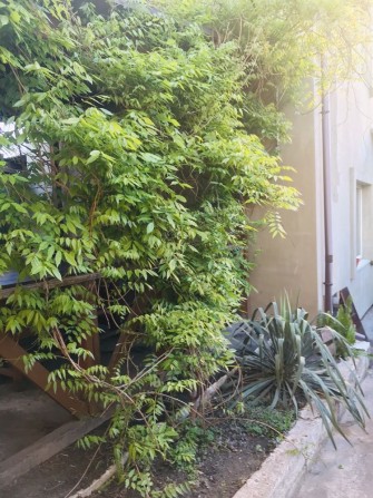 Кімната (в домі) від власника плюс комунальні - фото 1