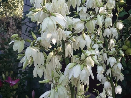 М. Дарниця  Лівобережна  Окрема кімната одному ВІльна з 8 . 10. Киев