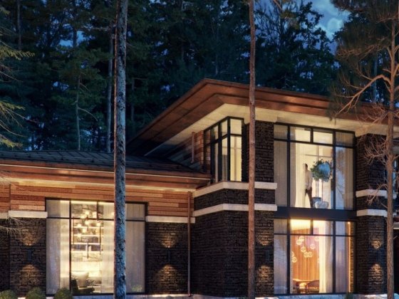 Конча Заспа Козин дом в стиле хай-тек с выходом на Днепр