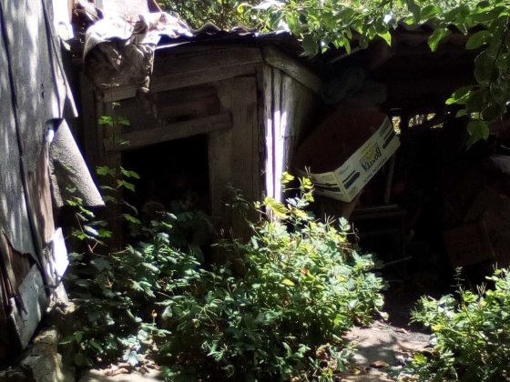 здам старий 1 к будинок  . 2000 гр Черновцы