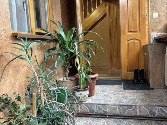 Оренда будинку в центрі Ужгород