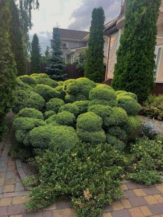 Будинок здається в оренду - фото 1