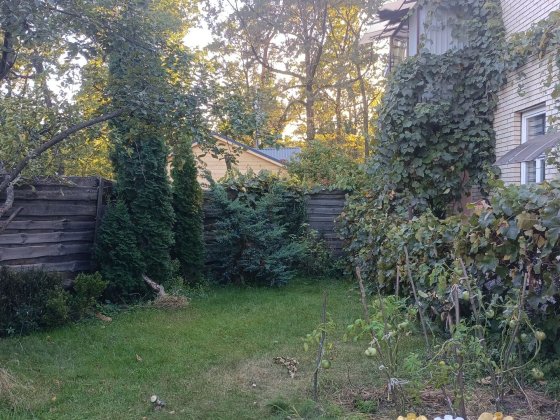 Оренда частини будинку в Пущі Водиці Київ