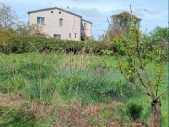 Аренда дома  5 к 170м.6 соток Сухой лиман , подвал, животные можно! Одесса