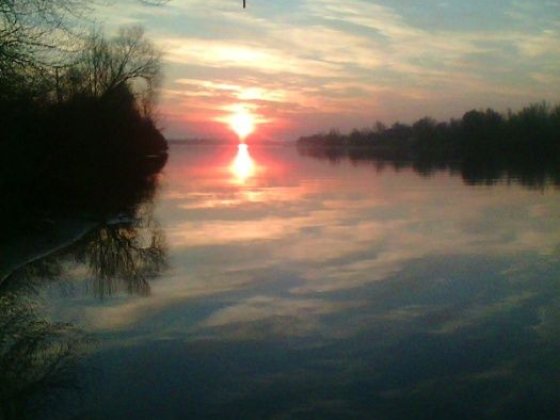 На березі Дніпра  в Голосіевскому раьоні     здам дачний будинок Киев