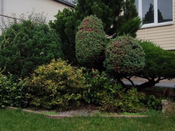 Шикарний будинок з доглянутою територіїєю Клузев