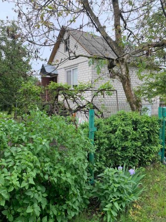 Дача срочно сдам - фото 1