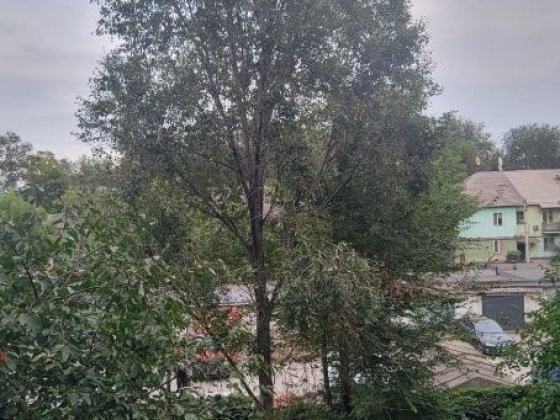 Продаётся 1-ком. квартира в р-не Центрального Кам'янське