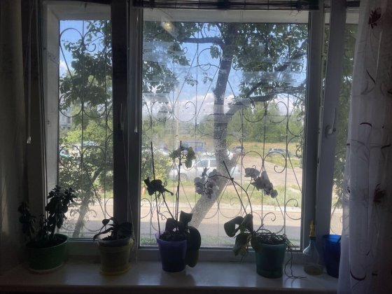 Продам 3-х комнатную квартиру Пзто Павлоград