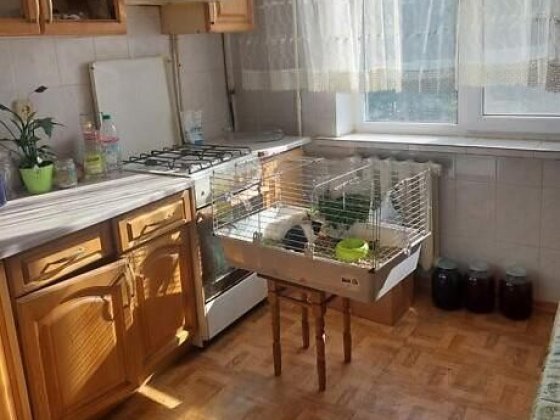 Продаж затишної двохкімнатної квартири в спокійному районі Гречани Хмельницький