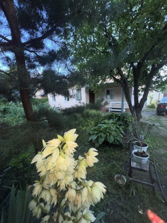 Продам 3 ком. квартиру на земле в Подгородном - фото 1