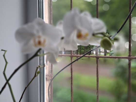 Продам 2к квартиру на 17 кварталі Терноватый Кут