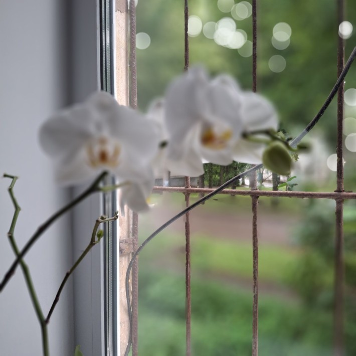 Продам 2к квартиру на 17 кварталі - фото 1