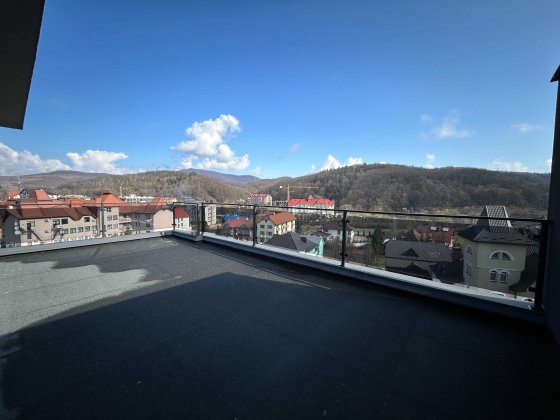 Ексклюзивні апартаменти преміум - класу . Курорт Поляна. Закарпаття. Руська Поляна