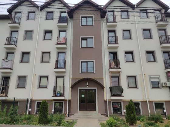 Однокімнатна квартира з ремонтом і меблями. Газ. Святопетровское