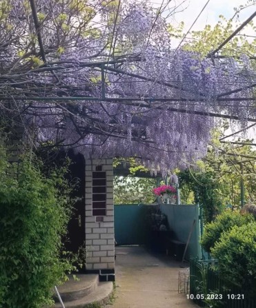 Предлагается к продаже дом.Село:Граденицы - фото 1