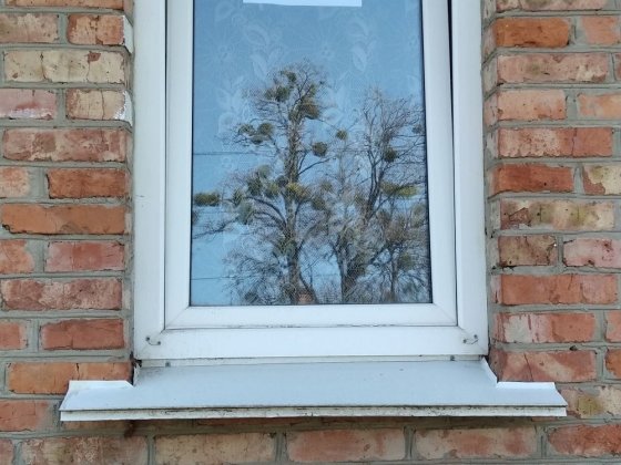 Однокімнатна квартира Гадяч