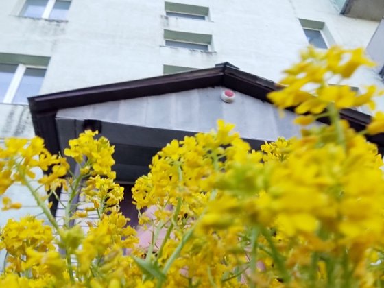 Квартира 3х комнатная+ГАРАЖ Путивль