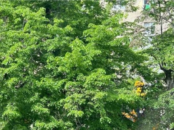 Продається 4-кімнатна квартира +ГАРАЖ(Тільки продаж ) Буринь