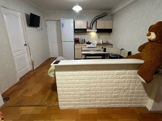 Грушевського, 7 біля парку. 1 кімнатна 48 метрів Бровары