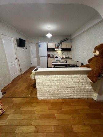 Грушевського, 7 біля парку. 1 кімнатна 48 метрів - фото 1