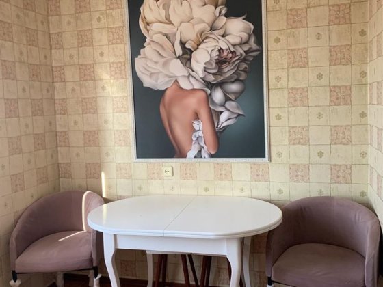 Чешка однокомнатная, балкон, юбилейная/содружества Кривой Рог