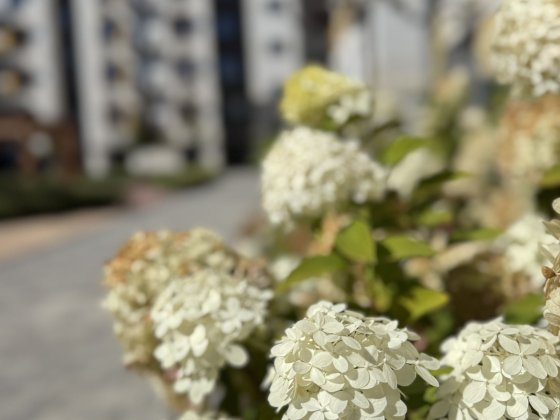 Сучасна квартира з ремонтом + газове опалення, єОселя - так! Ирпень