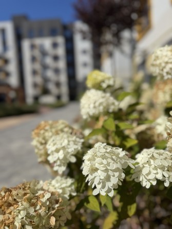 Сучасна квартира з ремонтом + газове опалення, єОселя - так! - фото 1